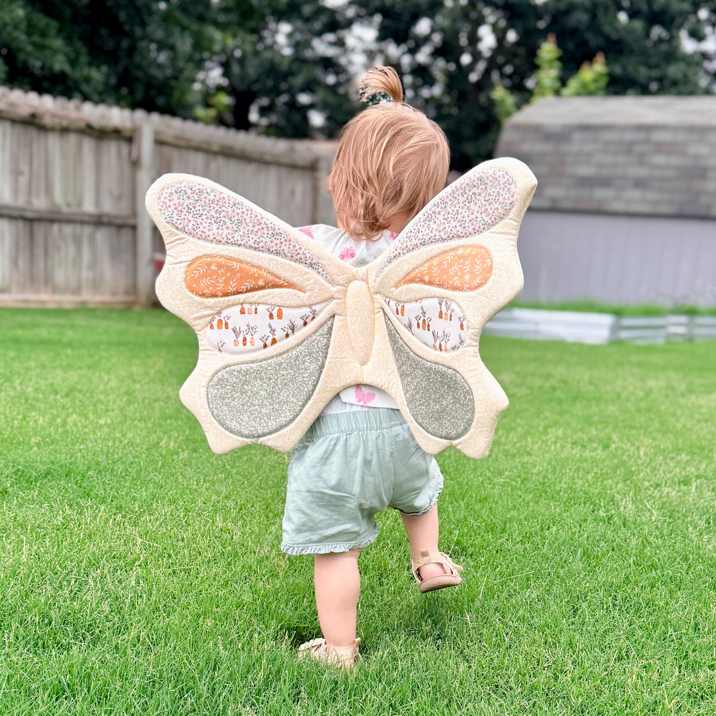 Butterfly Wings