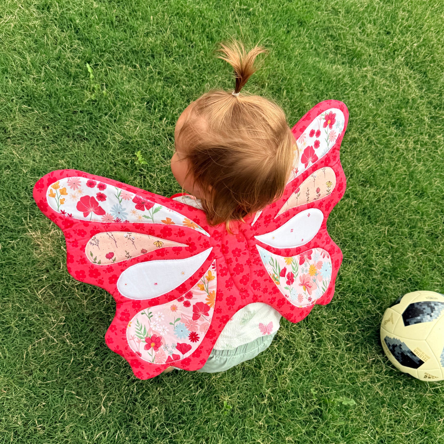 Butterfly Wings