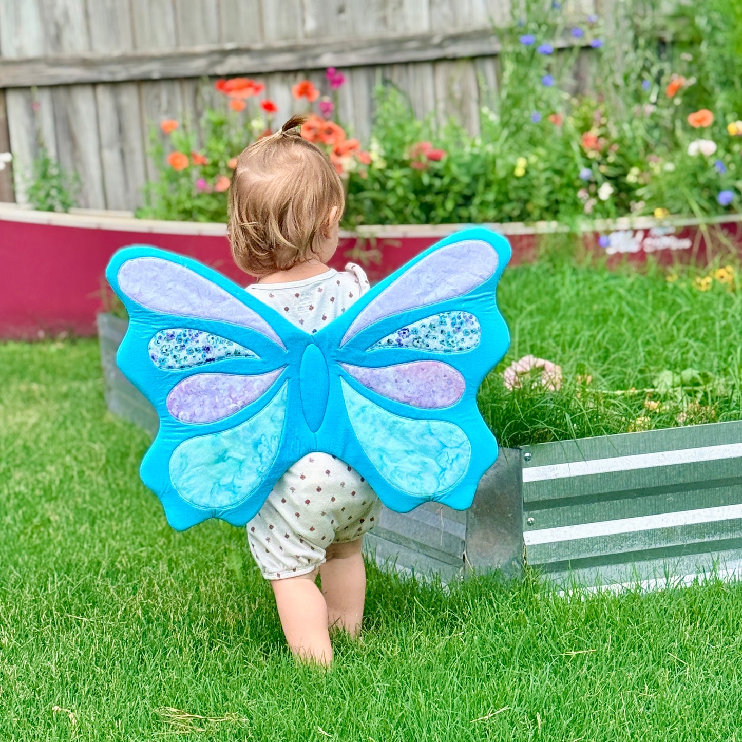Butterfly Wings