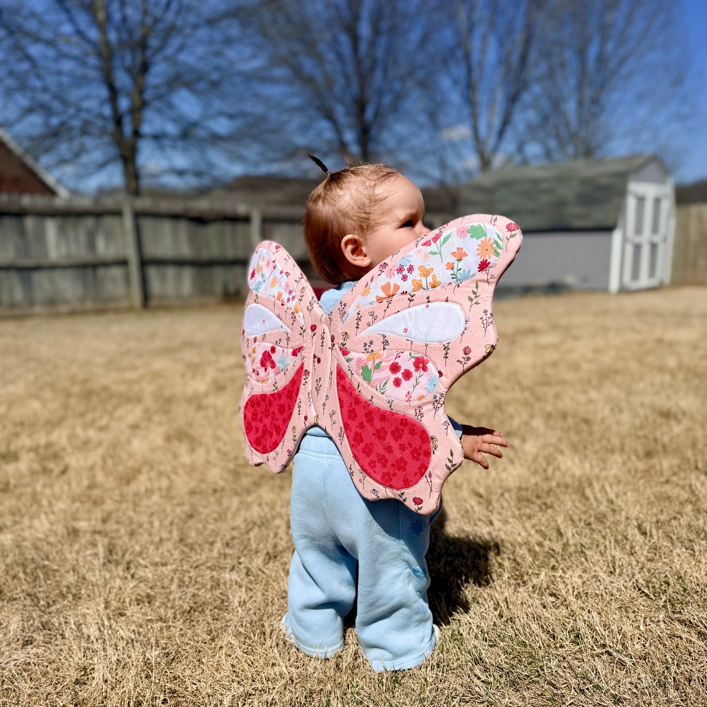 Butterfly Wings