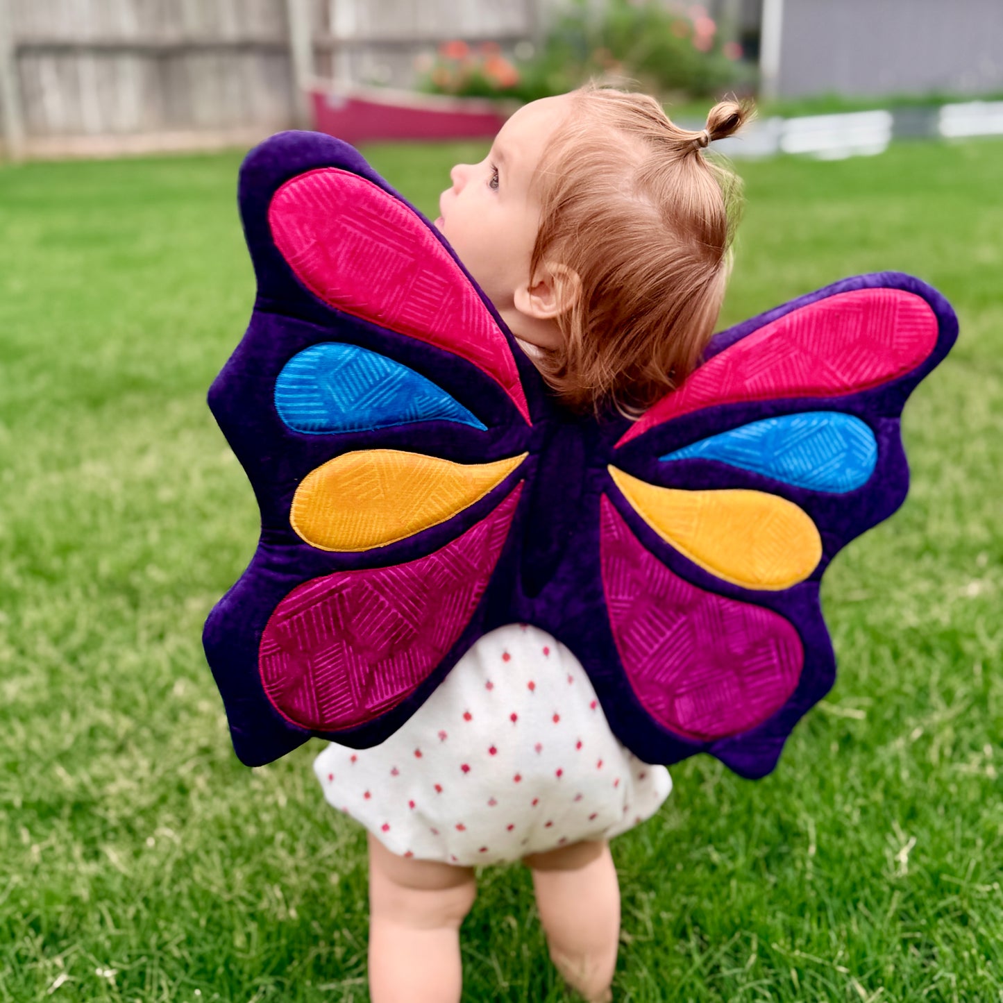 Butterfly Wings