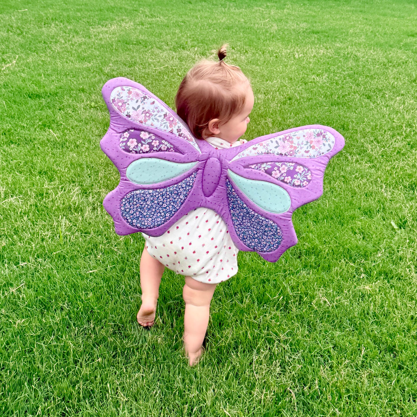 Butterfly Wings