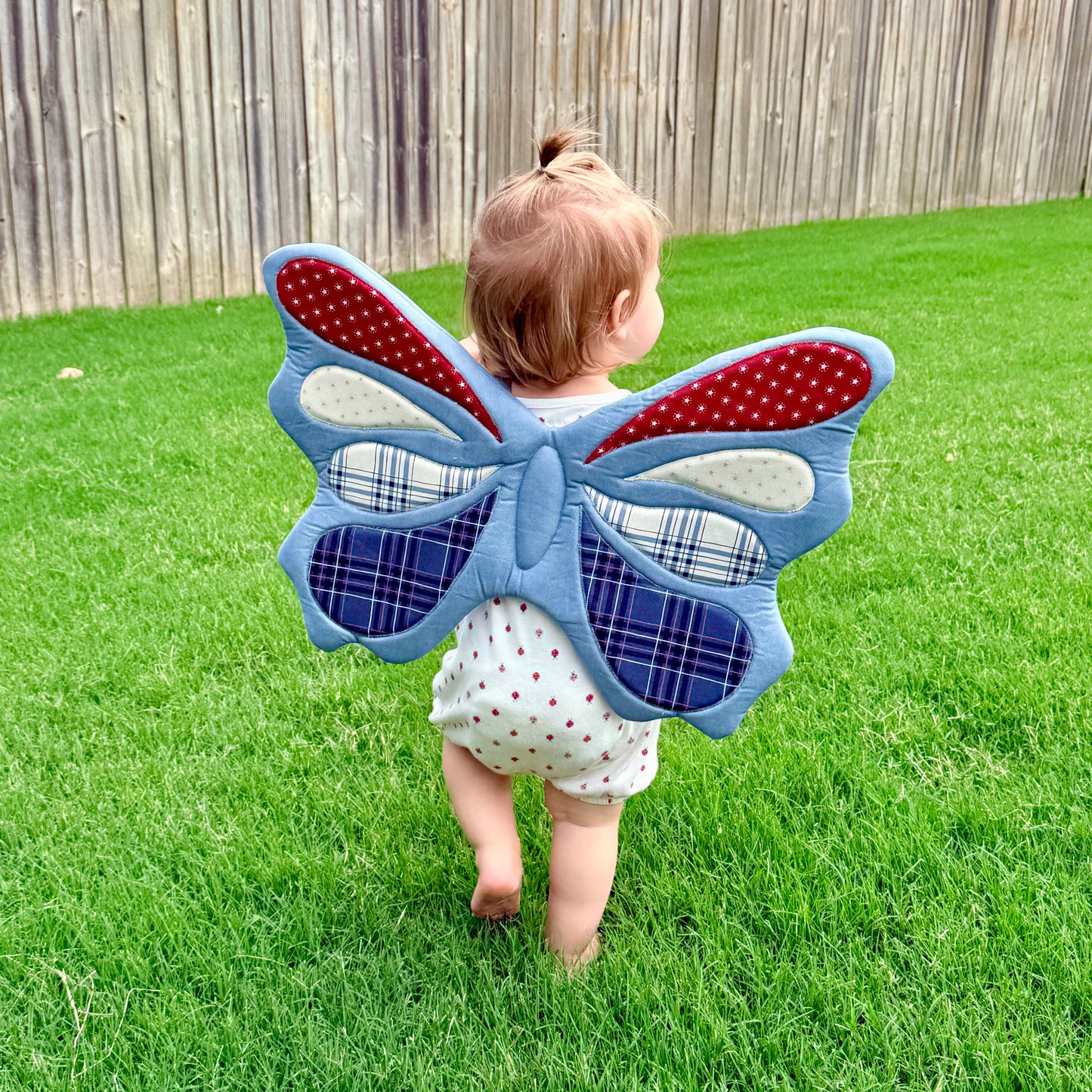 Butterfly Wings