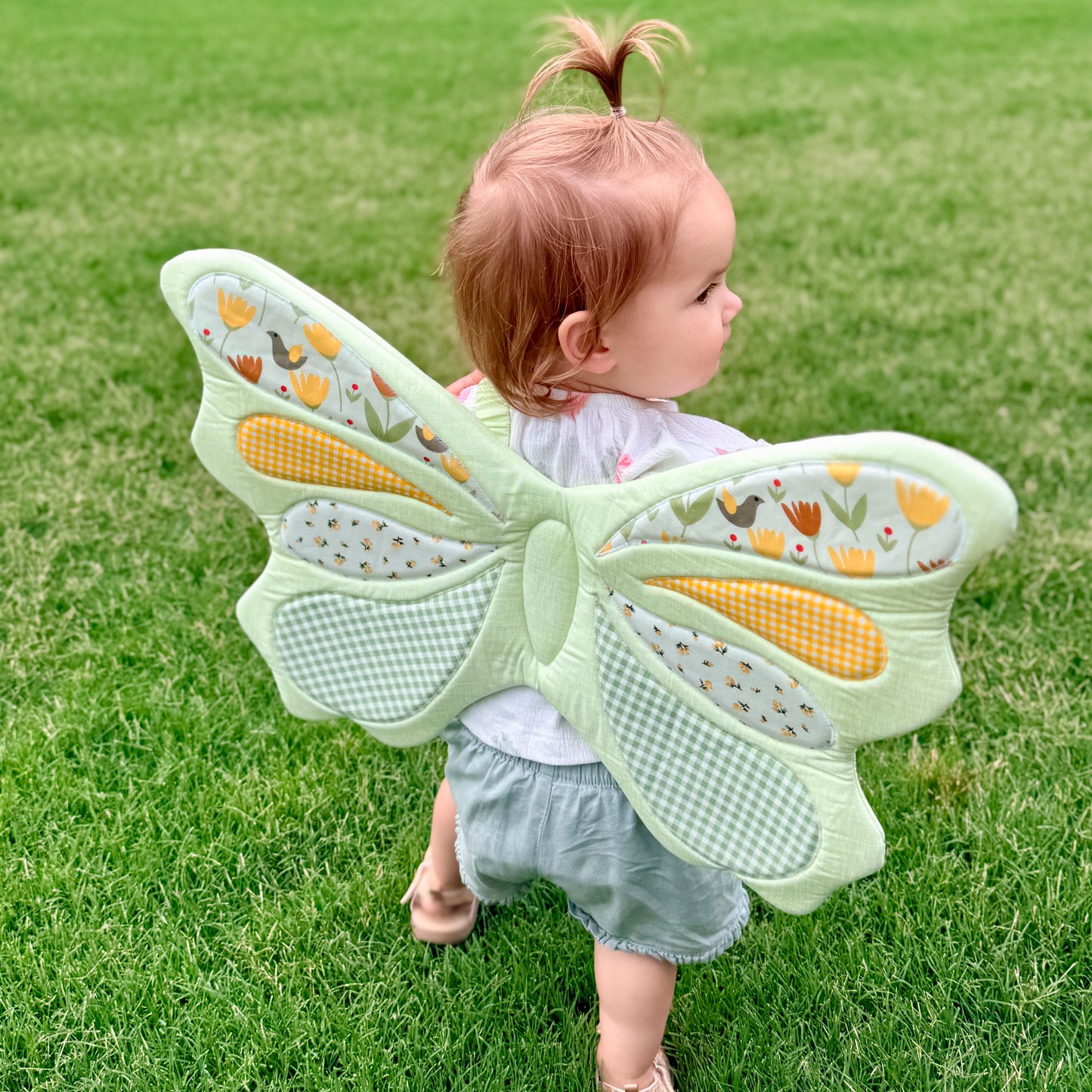 Butterfly Wings