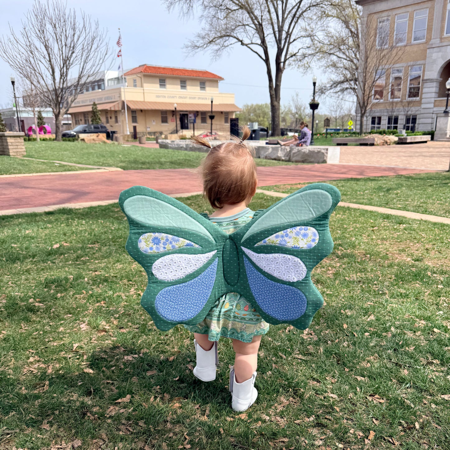 Butterfly Wings